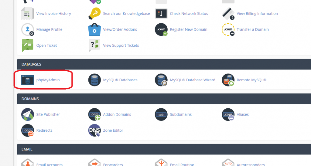 تغییر دامنه اصلی سایت از دیتابیس