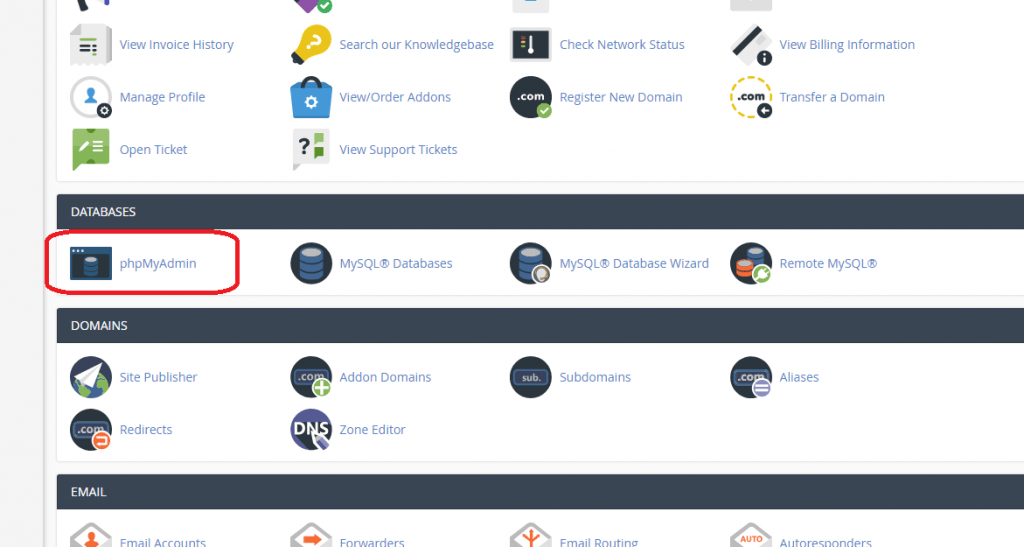 تغییر دامنه اصلی سایت از دیتابیس